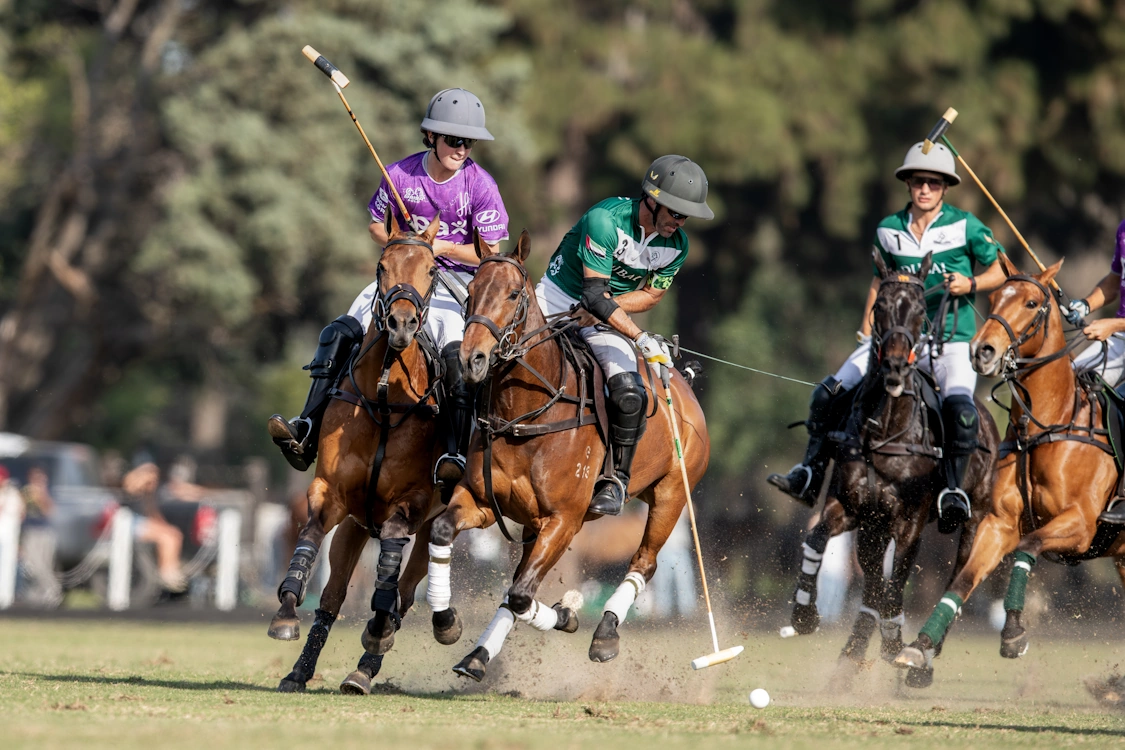 polo beginners guide