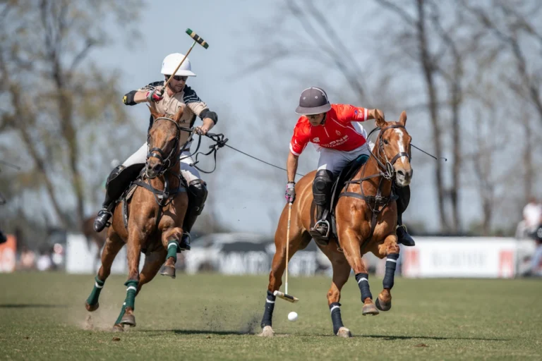 polo history rules equipment