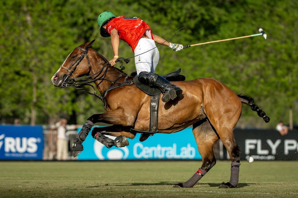 Polo Saddles