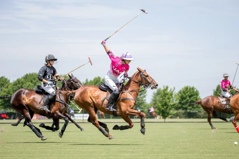 complete polo equipment