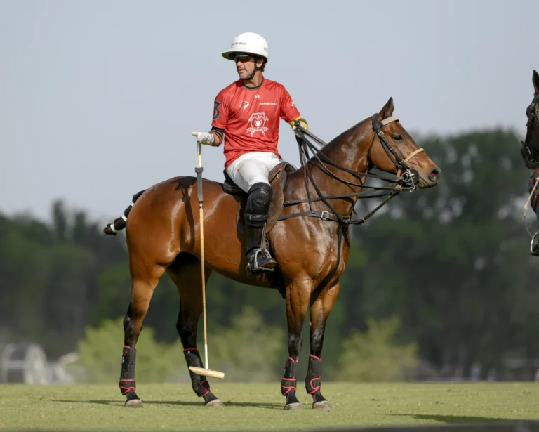 polo eyewear guide