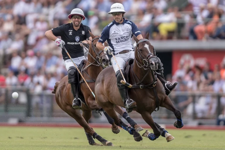 polo vs other equestrian sports